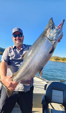 Fall & Spring Chinook Salmon