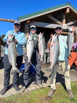 Fall & Spring Chinook Salmon