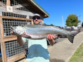 Fall & Spring Chinook Salmon