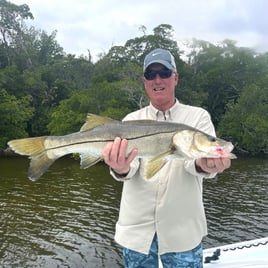 Saltwater Fly Fishing Action