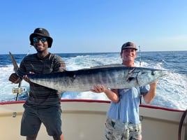 Deep Sea Fishing Adventures
