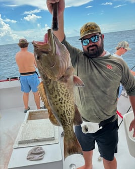 Deep Sea Fishing Adventures