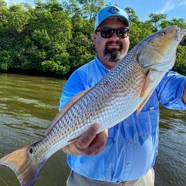 4-8 Hour Fishing Trip