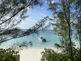 38ft Fish, Snorkel, Beach