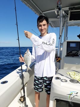 4 hours 38ft Reel Dreams