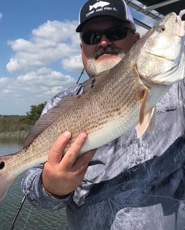 St. Augustine Inshore Trip