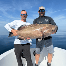 Red Grouper, Snapper, Pompano