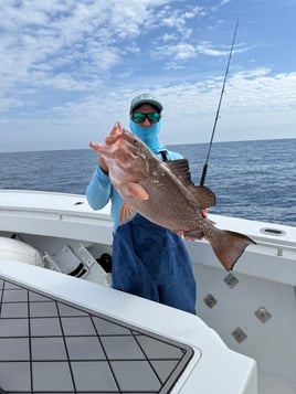 Red Grouper, Snapper, Pompano
