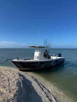 3 - 4 Hour Inshore Fishing