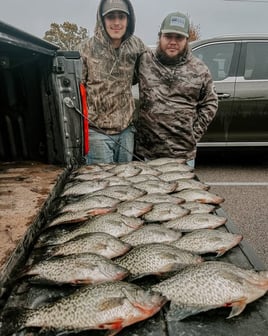 Half Day or Full Day Fishing Trip