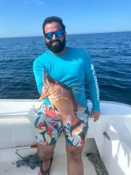 Hogfish Hoedown