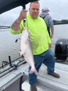Guided Catfish Trips