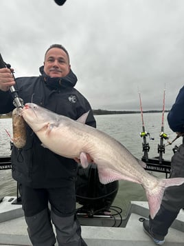 Guided Catfish Trips