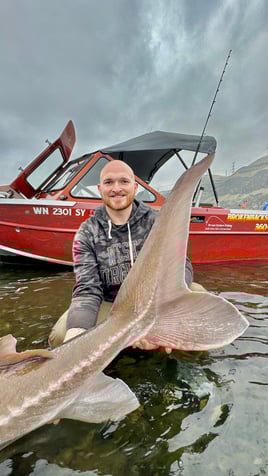 Over-Size White Sturgeon