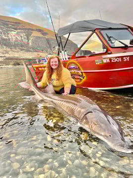 Over-Size White Sturgeon