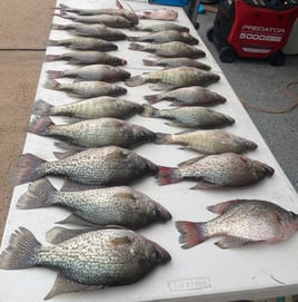 Lake Conroe: Half Or Full Day