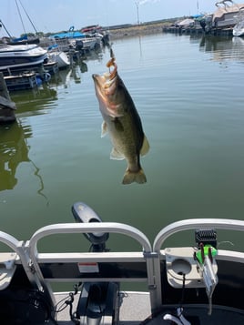 Half Day or Full Day Trip