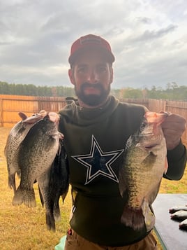 Half Day or Full Day Trip