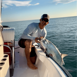 Sebastian Coastal Tarpon and Shark