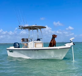 Sebastian Inlet And Coastal