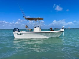 Sebastian Inlet And Coastal