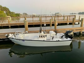 Sebastian Coastal Tarpon and Shark