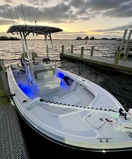 Sebastian Inlet And Coastal