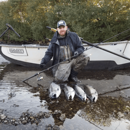 Humptulips River King Salmon Trip