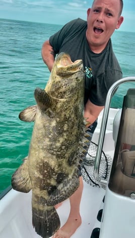 Goliath Grouper Fishing in Sebastian, Florida
