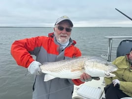 Fly fish for Redfish