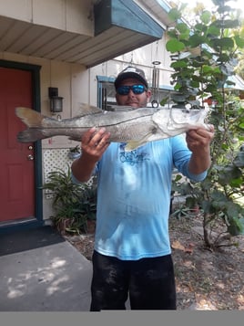 Half Day Trip – Inshore