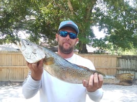 Half Day Trip – Inshore