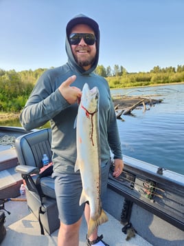 Olympic Penninsula Steelhead