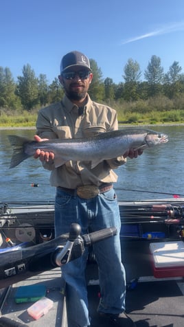 Olympic Penninsula Steelhead