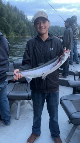 Olympic Penninsula Steelhead