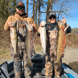 Cowlitz River winter steelhead