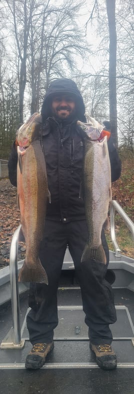 Cowlitz River winter steelhead