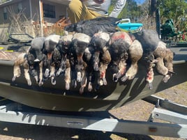 Crystal River Duck Hunts