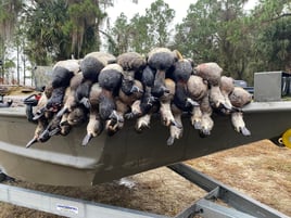 Crystal River Duck Hunts