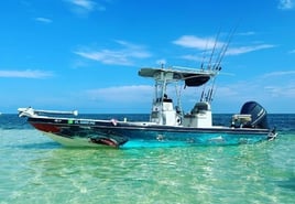 Half Day Trip – Scallop