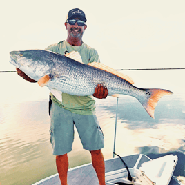 Half Day or Full Day Trip Inshore