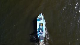 Full-Day Trip Inshore