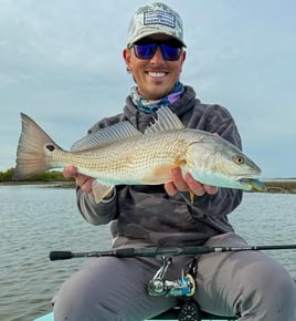 Full-Day Trip Inshore