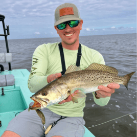 Full-Day Trip Inshore