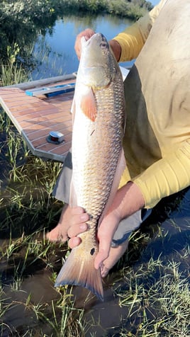 Inshore/ Nearshore Fishing Trip