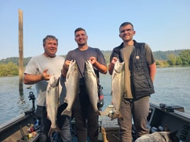 Columbia River fall Chinook Salmon