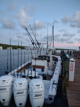 Offshore Bluewater FAD - BIG GAME