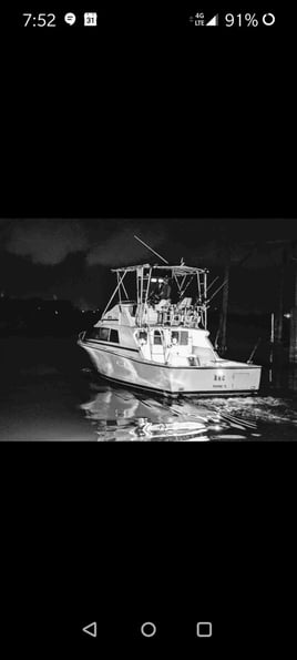Gulf VIP Package Snapper,Mahi,Wahoo