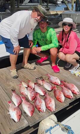 Gulf of Mexico Blast!