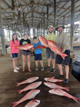 Gulf of Mexico Blast!